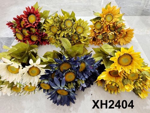 XH2404