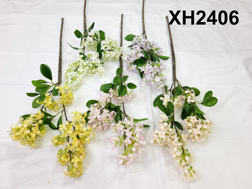 XH2406