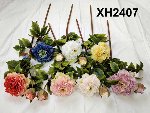 XH2407