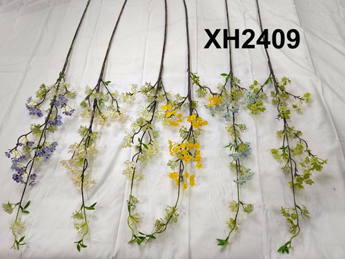 XH2409