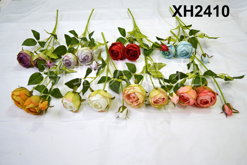 XH2410