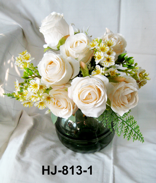 HJ-813-1
