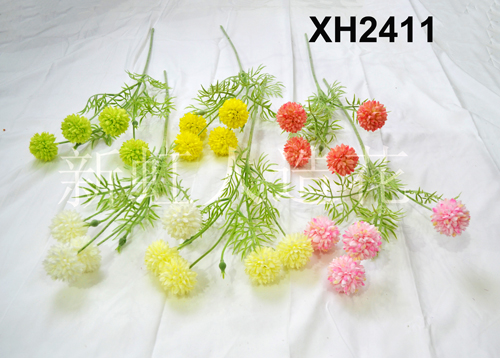 XH2411