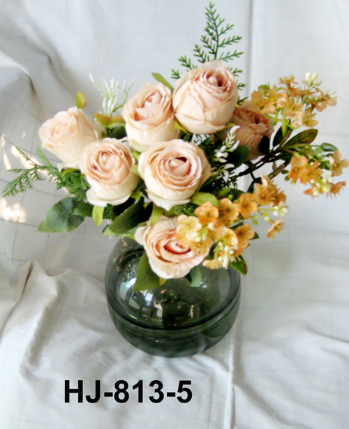 HJ-813-5