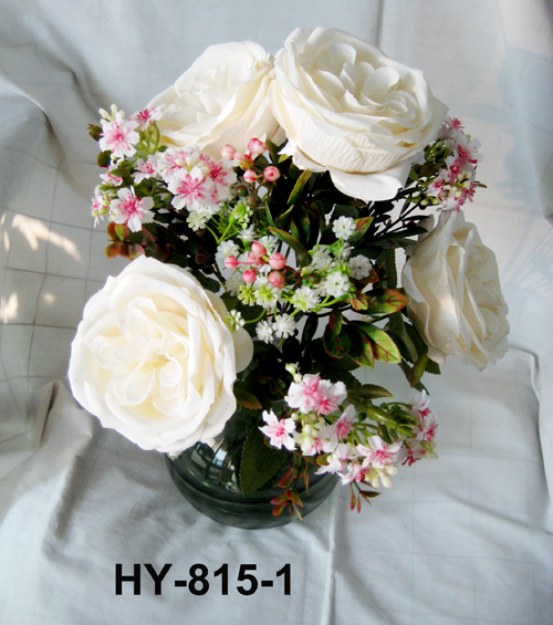 HY-815-1