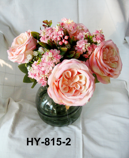 HY-815-2