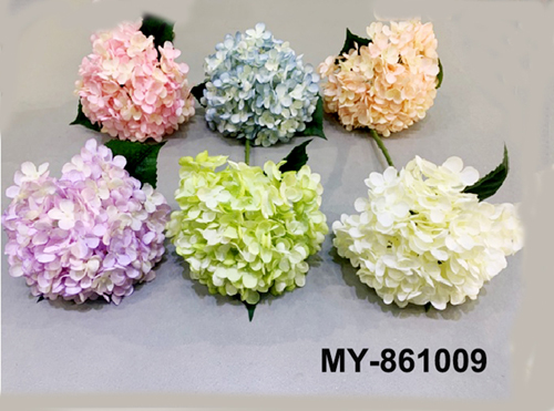 MY-861009