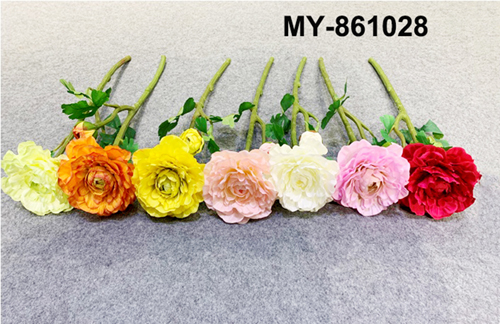 MY-861028