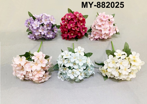 MY-882025