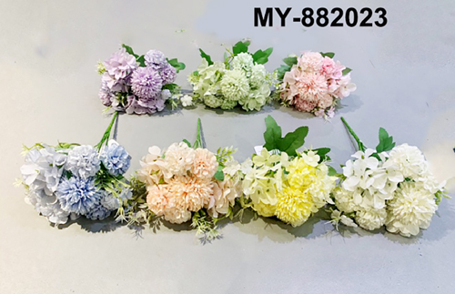 MY-882023