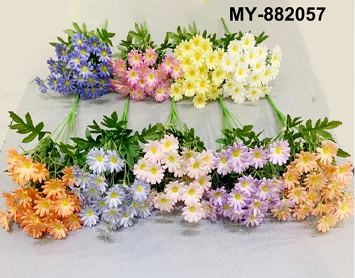 MY-882057