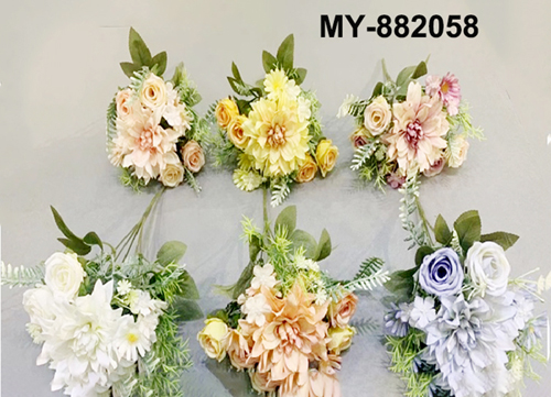 MY-882058