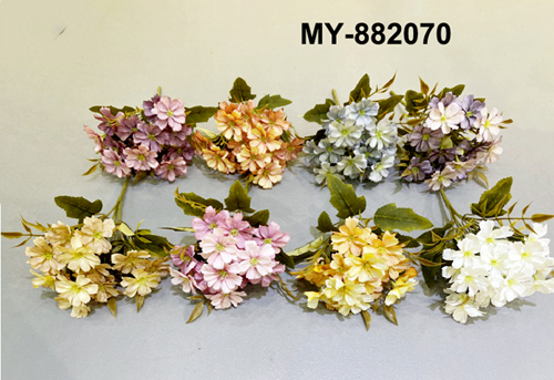 MY-882070