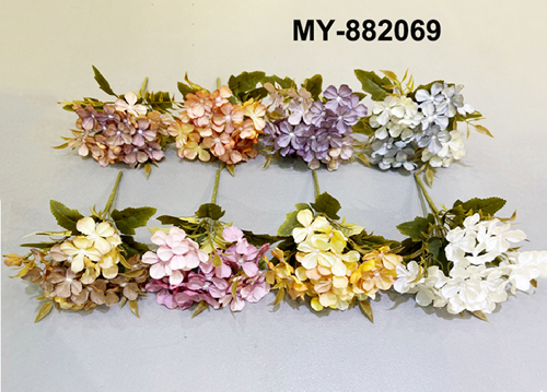 MY-882069