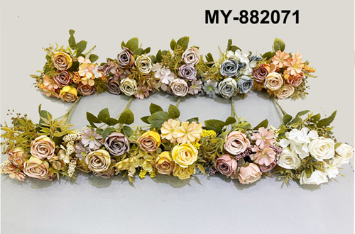 MY-882071