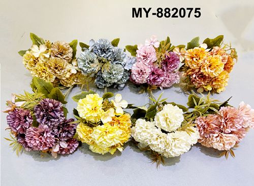 MY-882075
