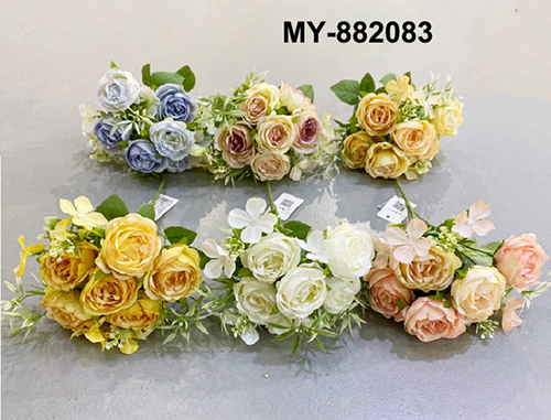 MY-882083