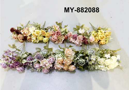 MY-882088
