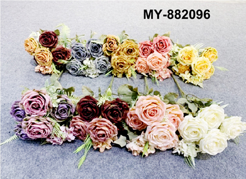 MY-882096