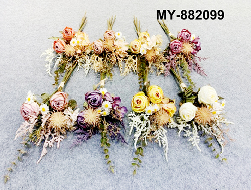 MY-882099