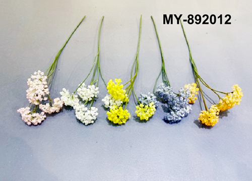 MY-892012