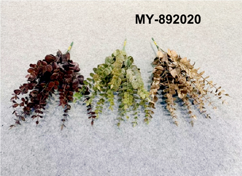 MY-892020