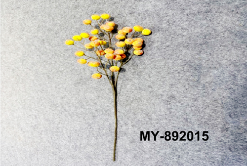 MY-892015