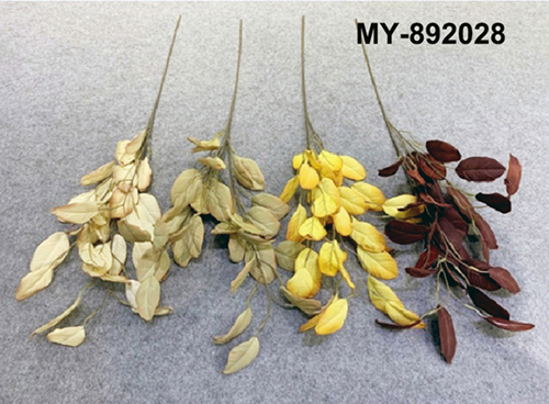 MY-892028