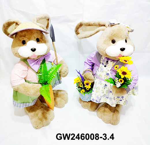 GW2460008-3.4