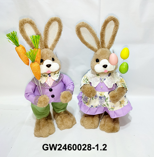 GW2460028-1.2
