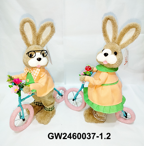 GW2460037-1.2