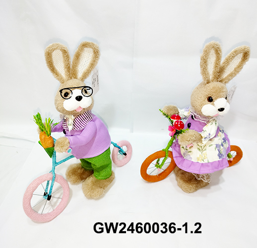 GW2460036-1.2