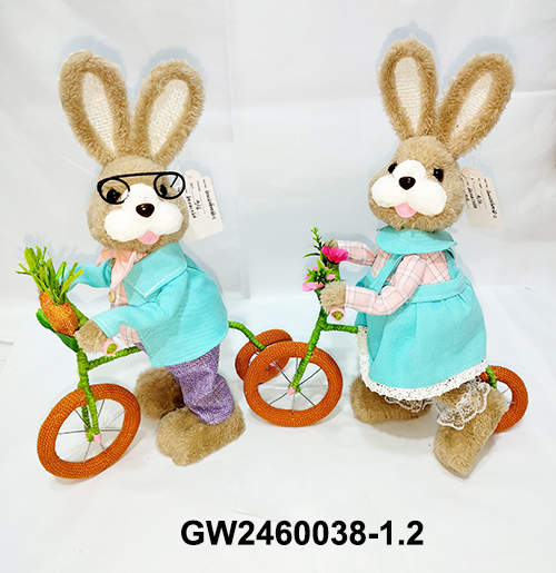GW2460038-1.2