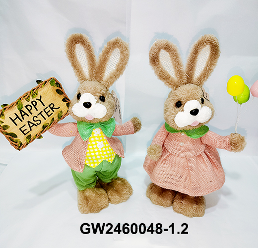 GW2460048-1.2