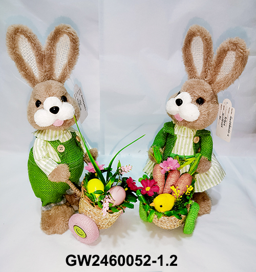 GW2460052-1.2