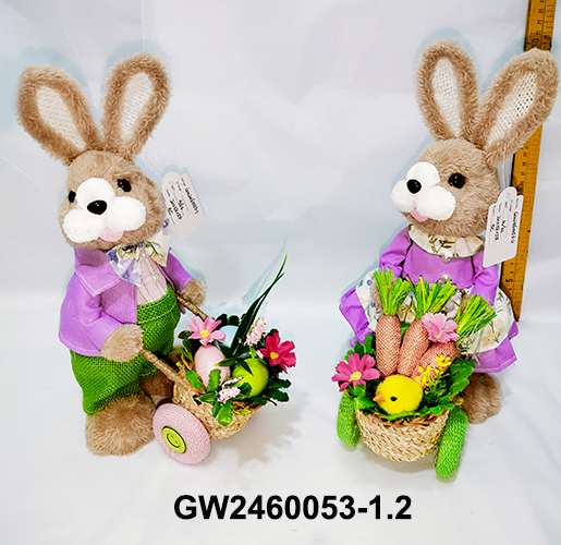GW2460053-1.2