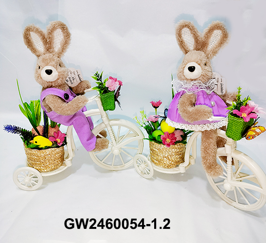 GW2460054-1.2