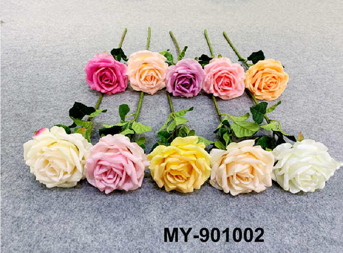 MY-901002