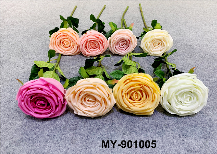 MY-901005