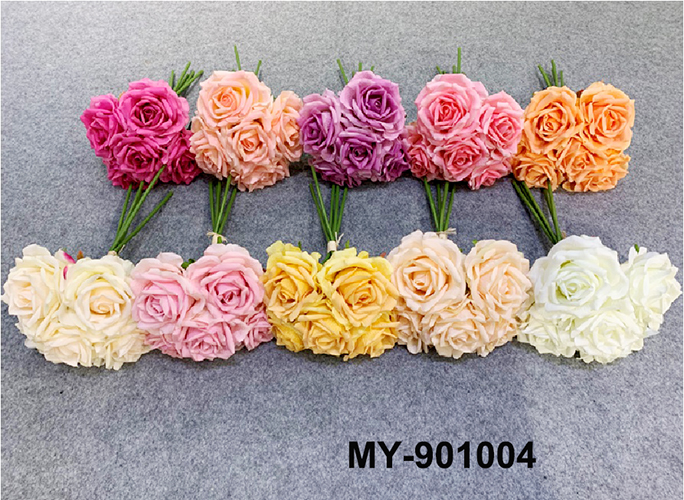 MY-901004