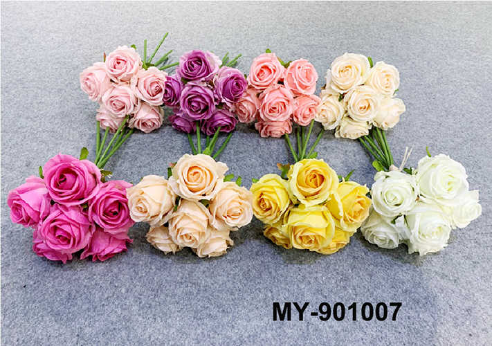 MY-901007