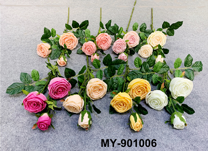 MY-901006