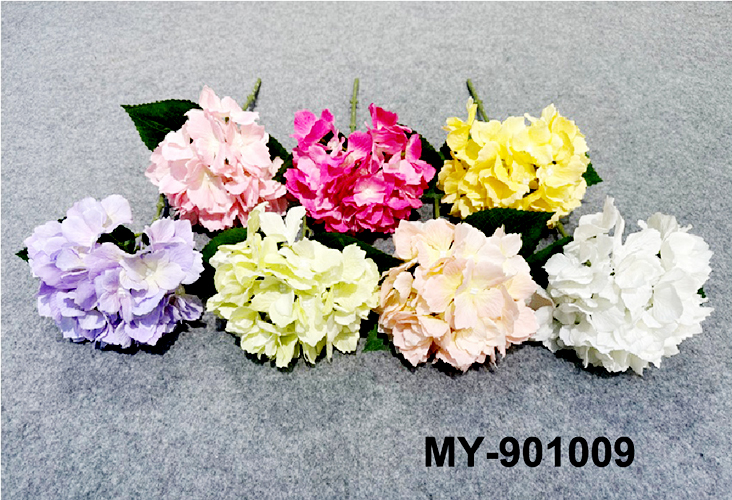 MY-901009