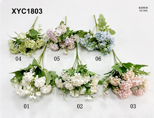 XYC1803