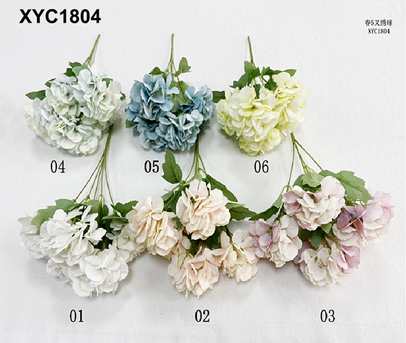 XYC1804