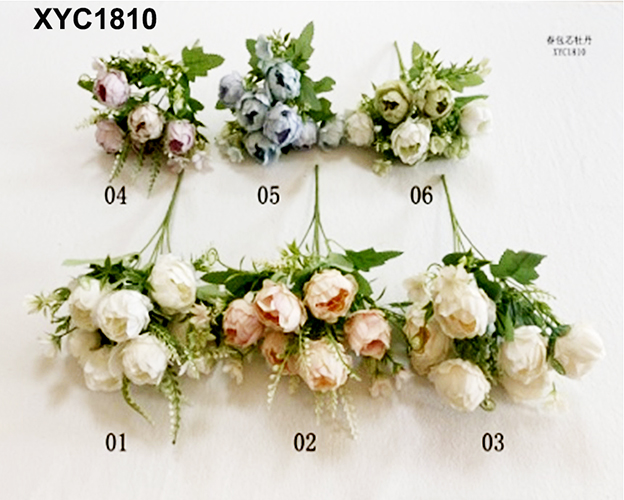 XYC1810
