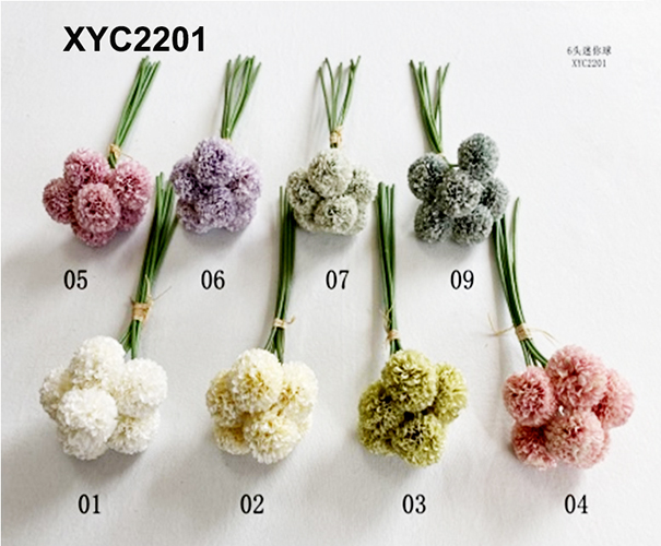 XYC2201