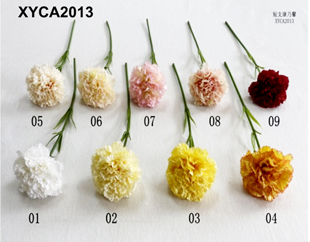 XYCA2013