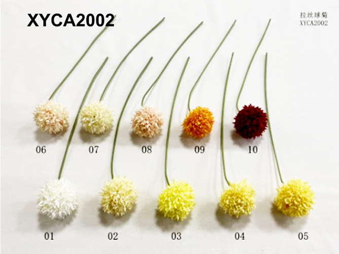 XYCA2002