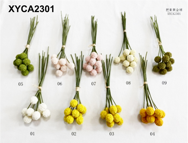 XYCA2301
